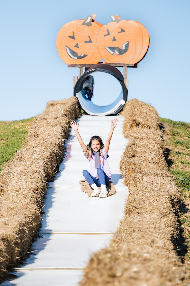 Leesburg-VA-Fall-Pumpkin-Festival00001