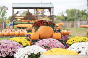 Leesburg-VA-Fall-Pumpkin-Festival00045