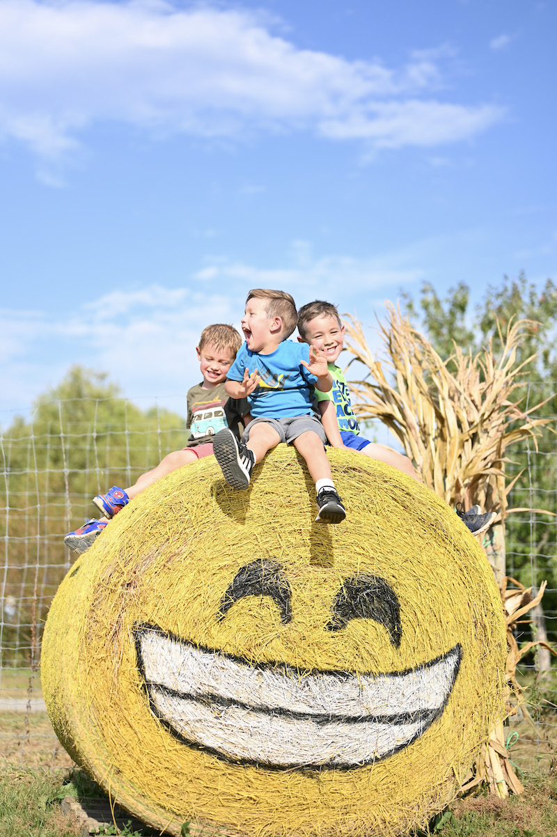 Leesburg-VA-Fall-Pumpkin-Festival00079